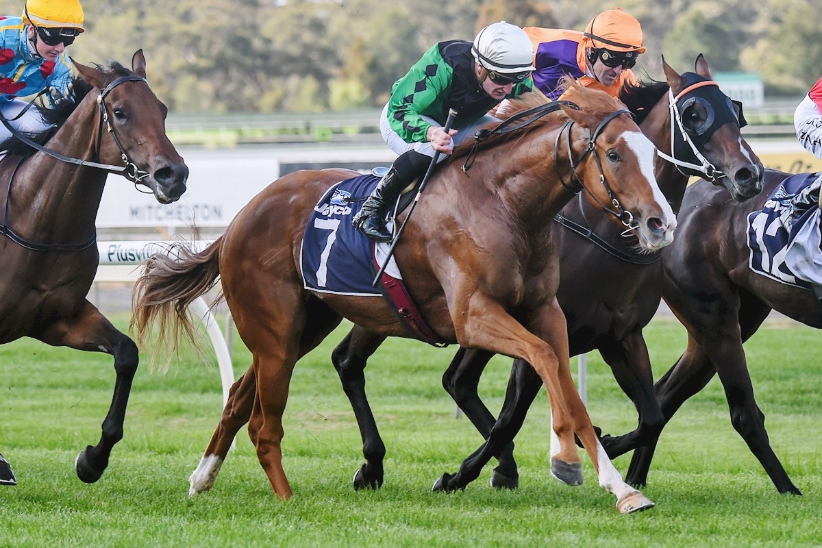 Riddle Me That & Dan Stackhouse win the Bendigo Guineas, 28 Mar 2020